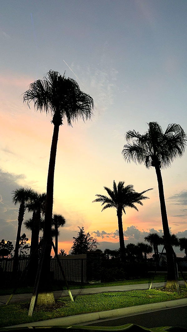 xcatlyn image ~ Altpins