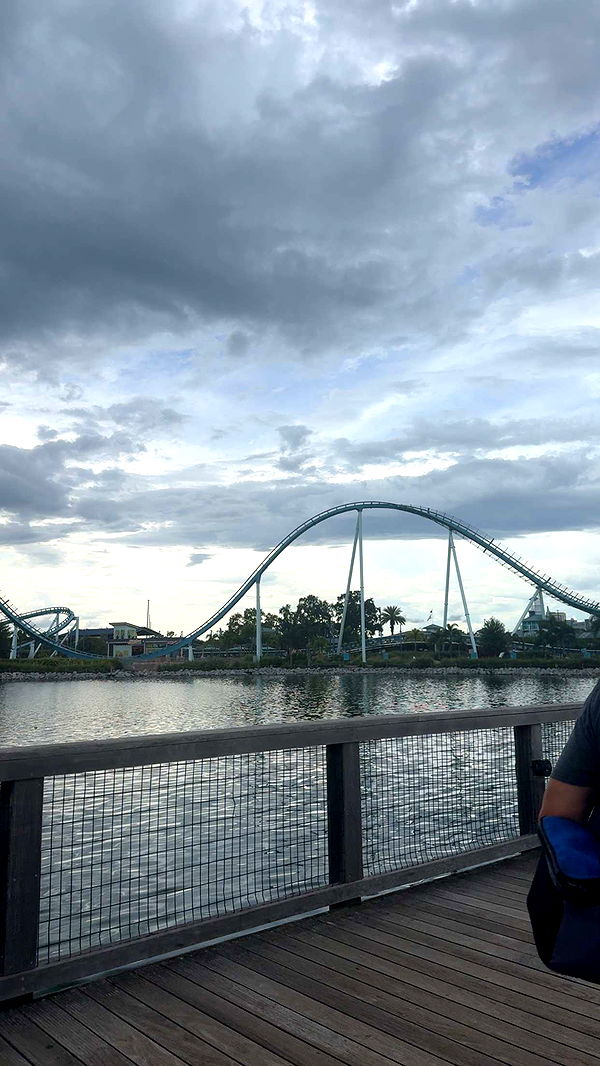 xcatlyn image ~ Altpins