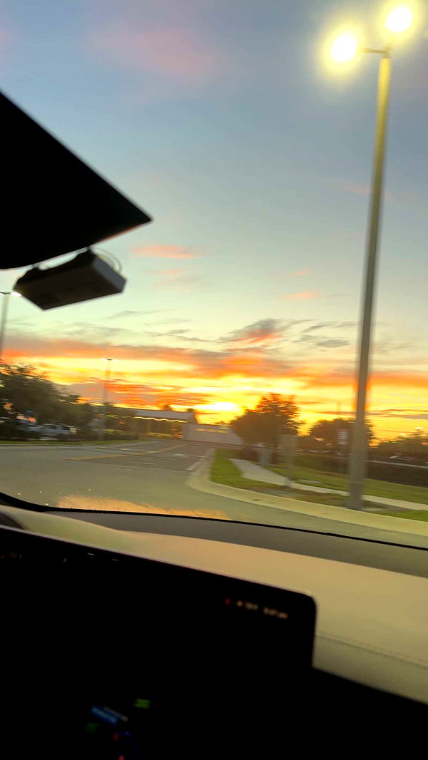 xcatlyn image ~ Altpins