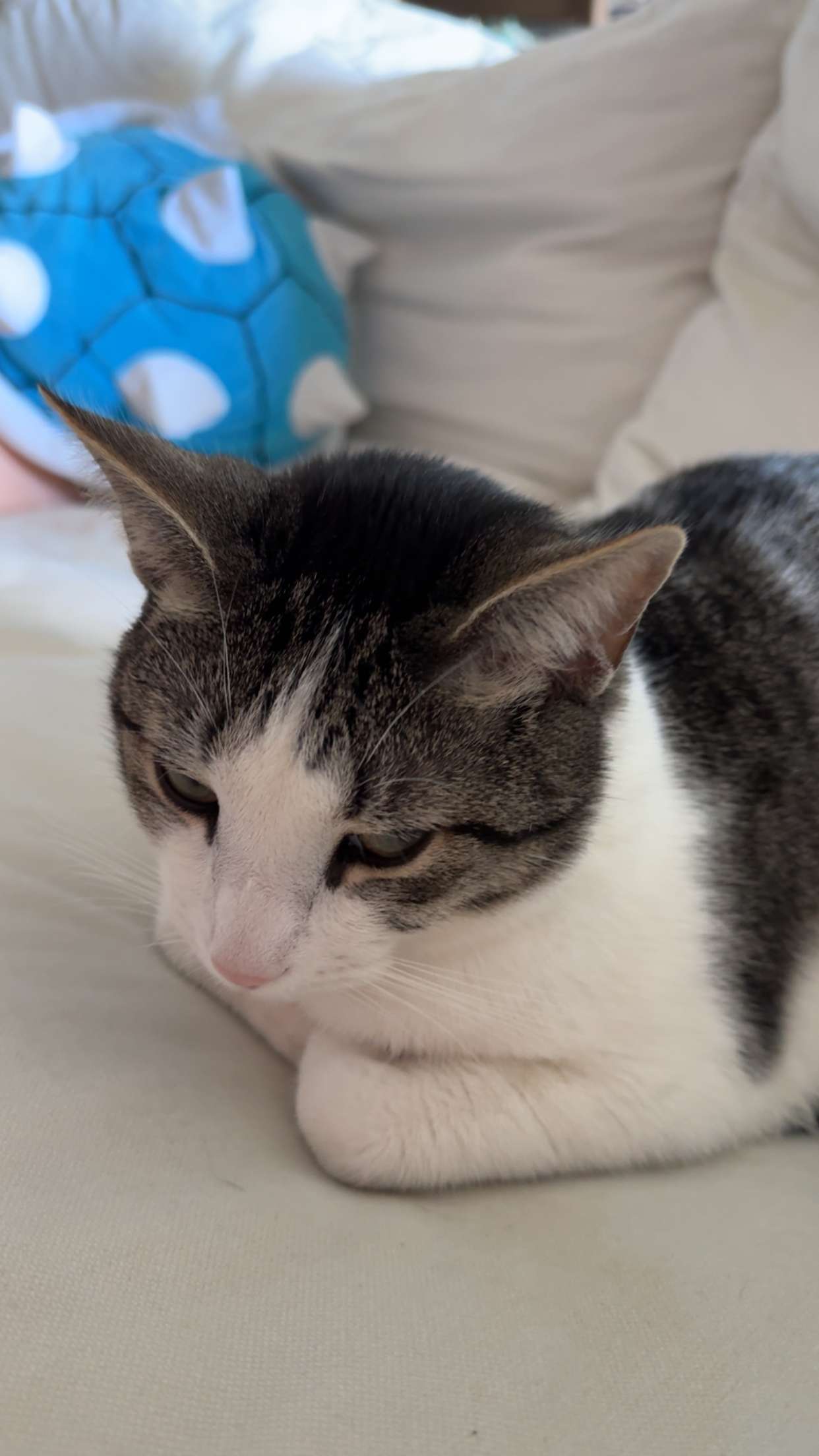 xcatlyn snapchat image archive image