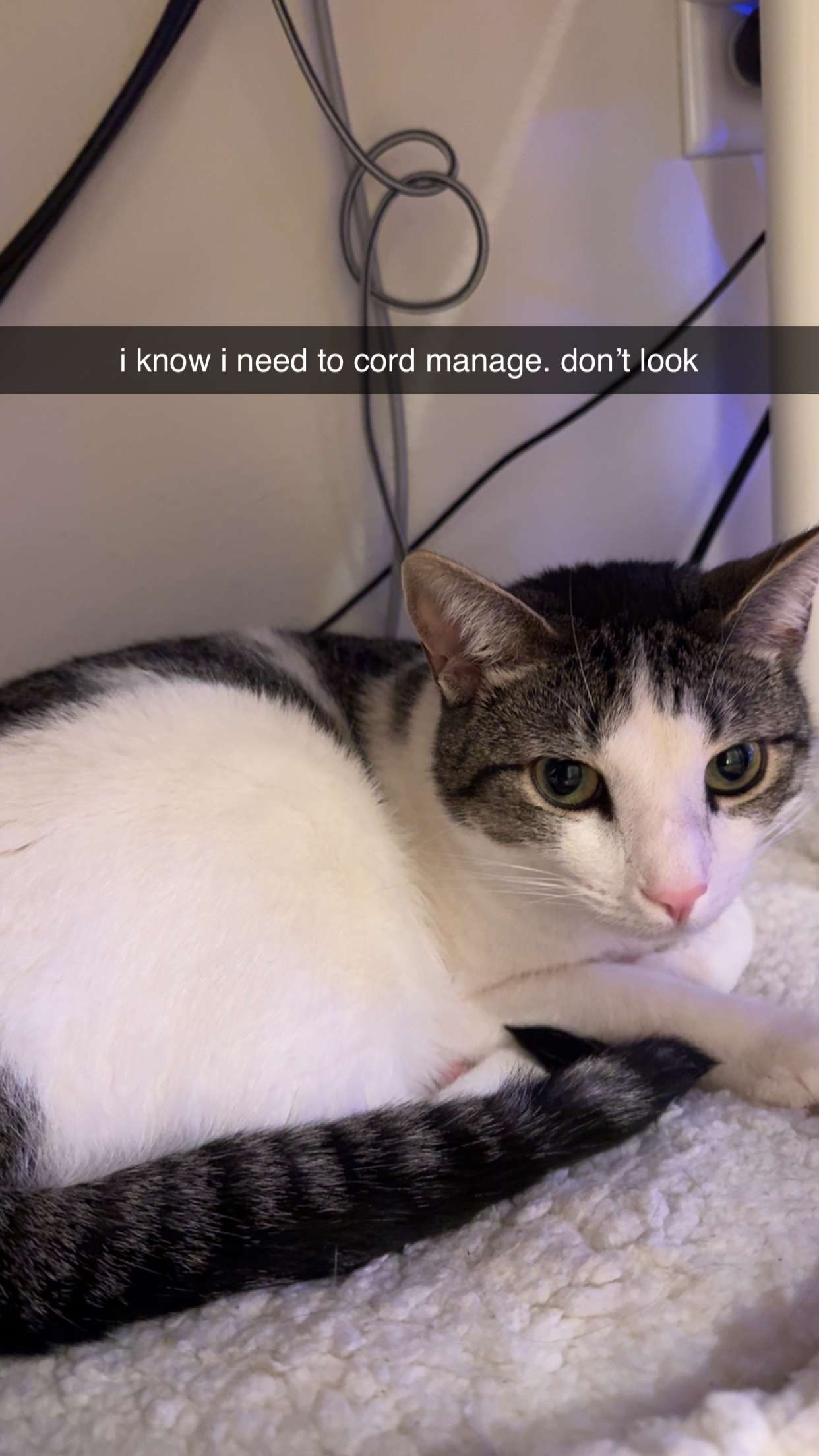 xcatlyn snapchat image archive image