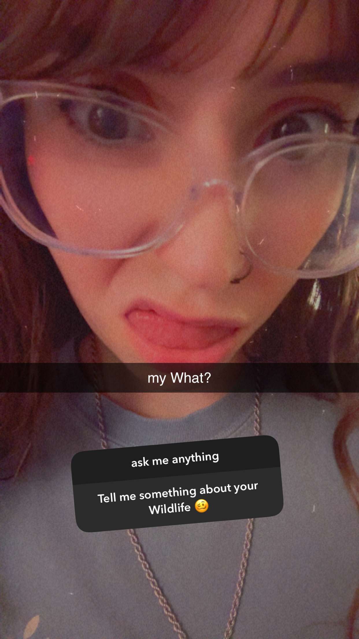 xcatlyn snapchat image archive image