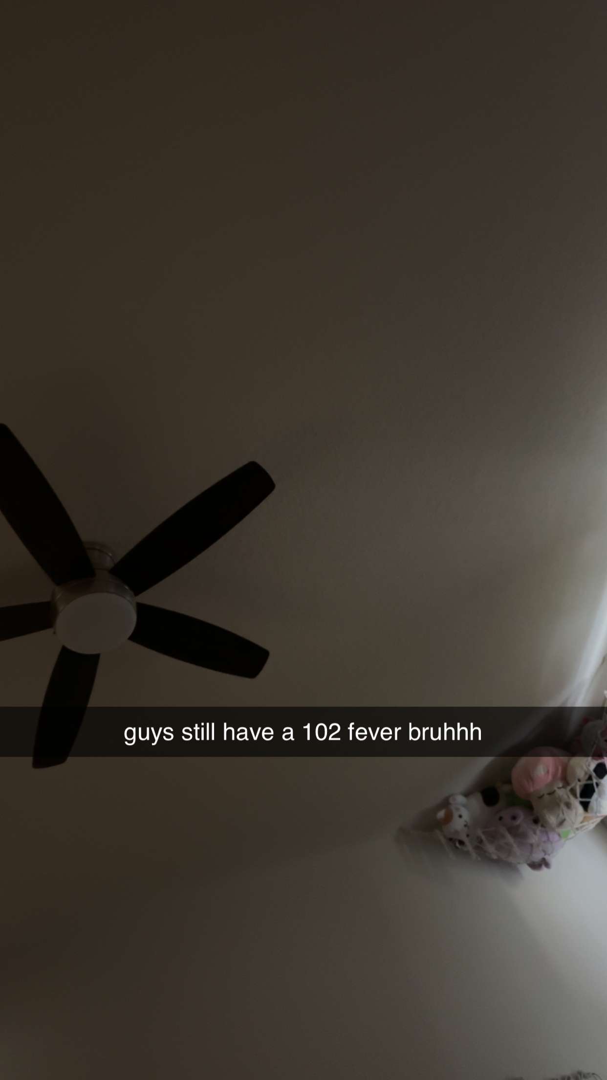 xcatlyn snapchat image archive image