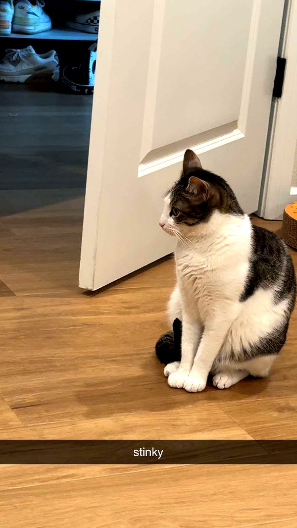 xcatlyn image ~ Altpins