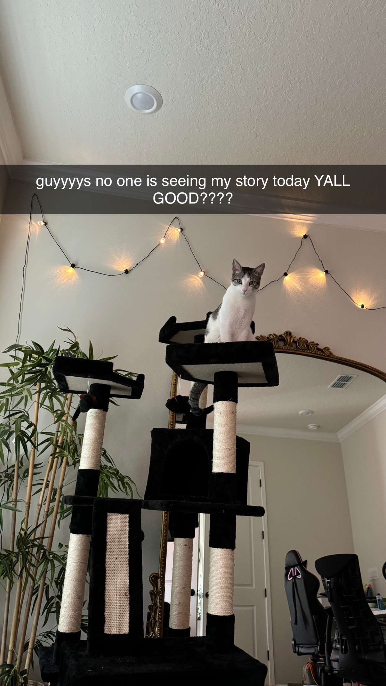 xcatlyn snapchat image archive image