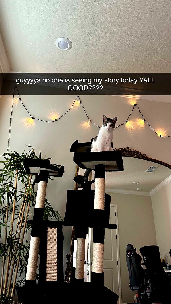 xcatlyn image ~ Altpins