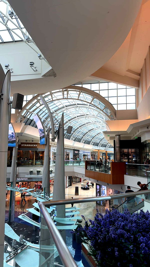 xcatlyn image ~ Altpins