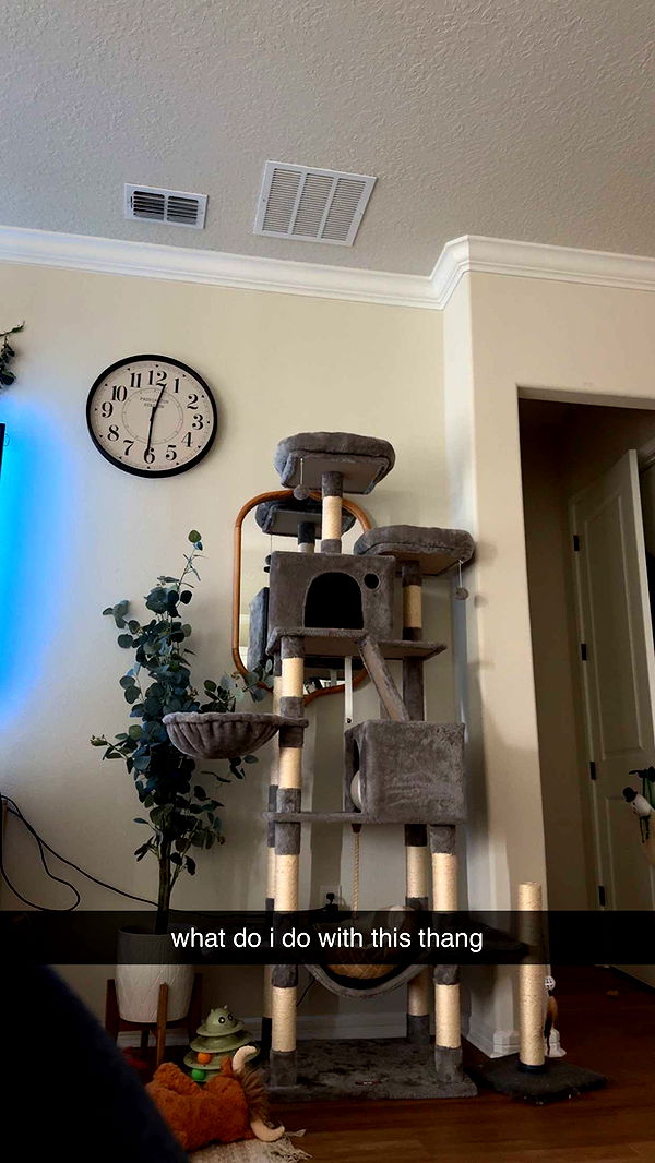 xcatlyn image ~ Altpins