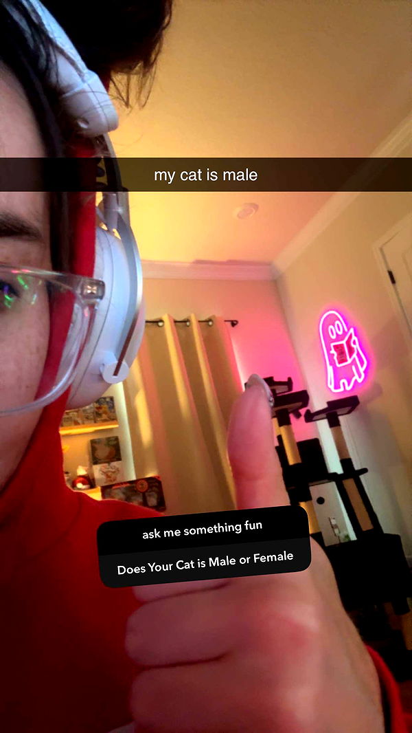 xcatlyn image ~ Altpins