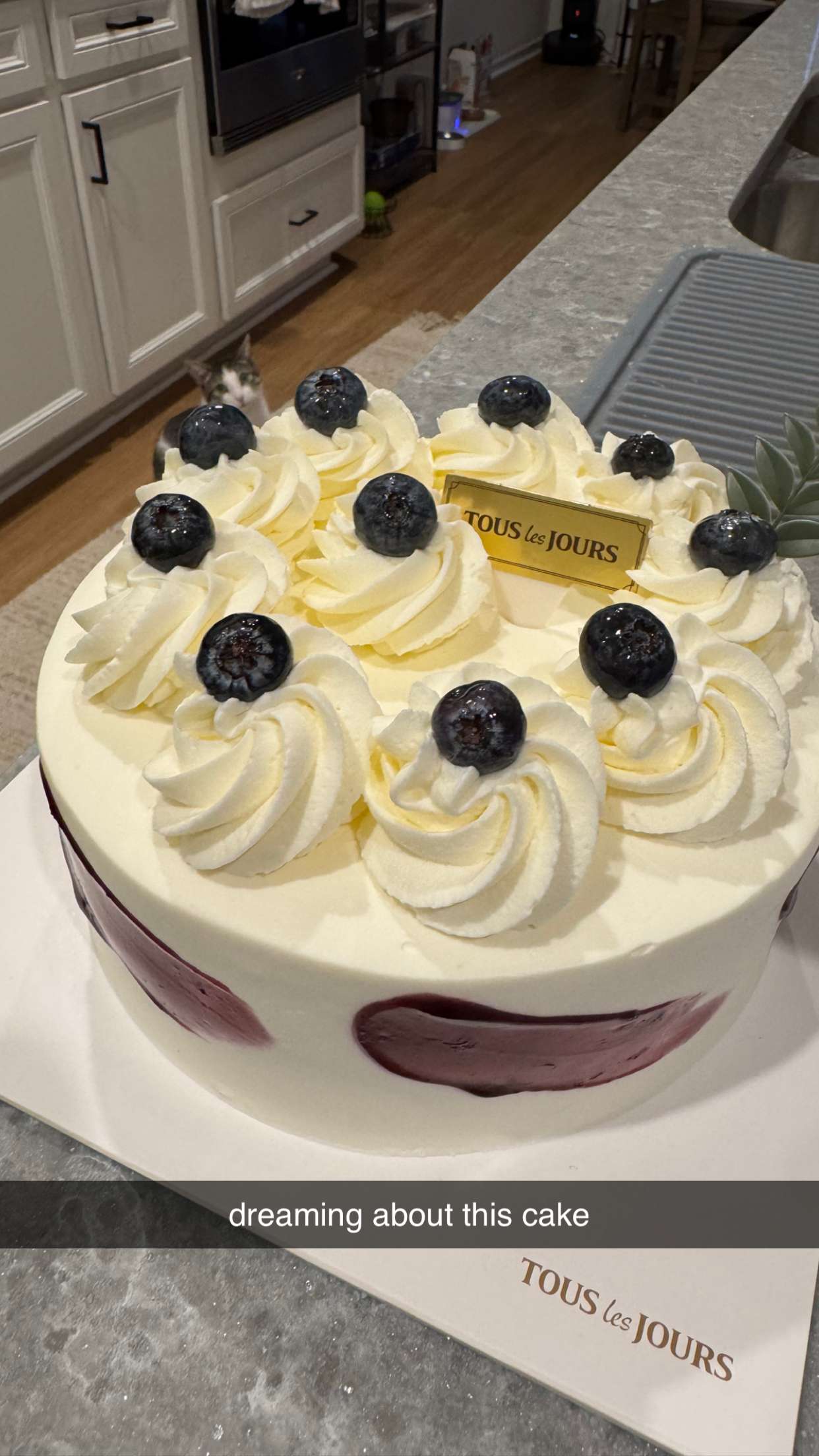 xcatlyn snapchat image archive image