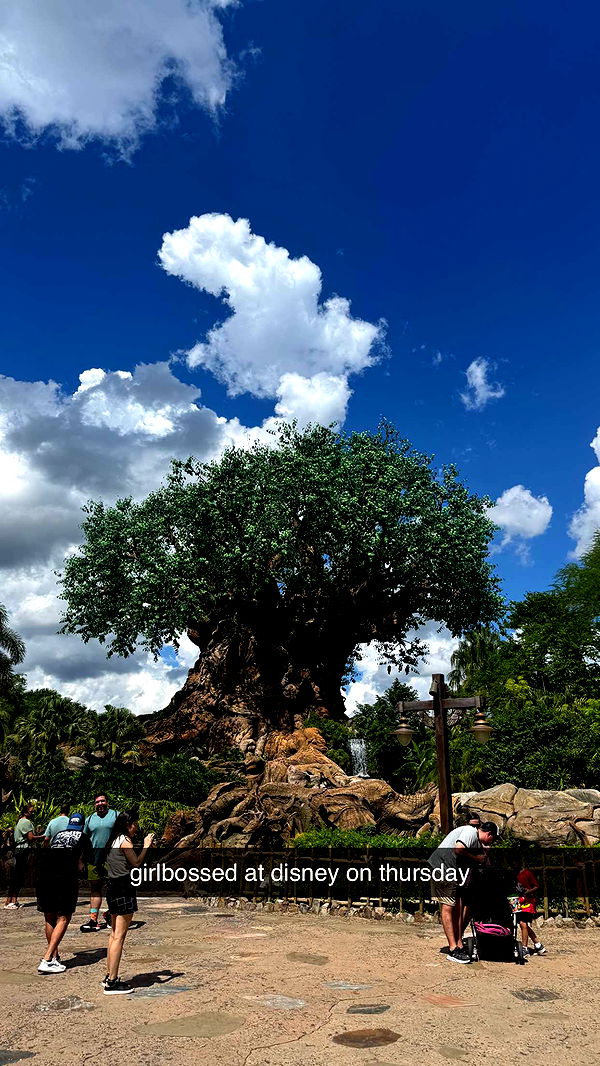 xcatlyn image ~ Altpins