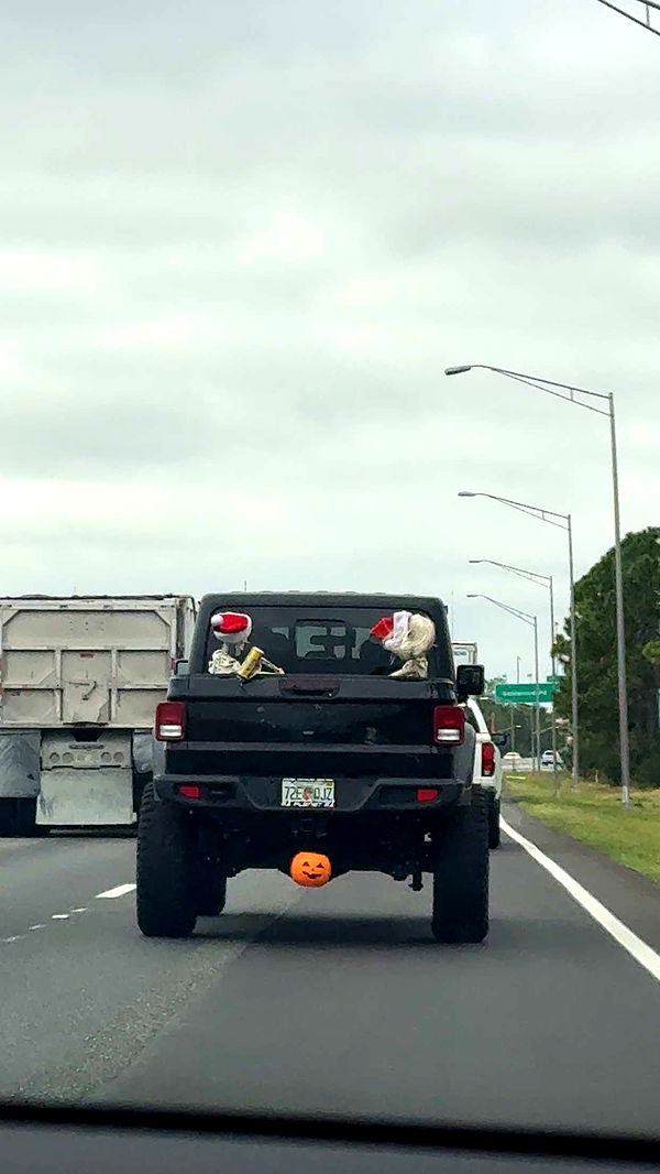 xcatlyn image ~ Altpins