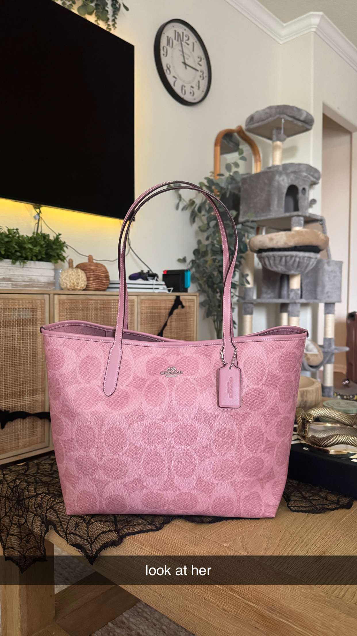 xcatlyn snapchat image archive image