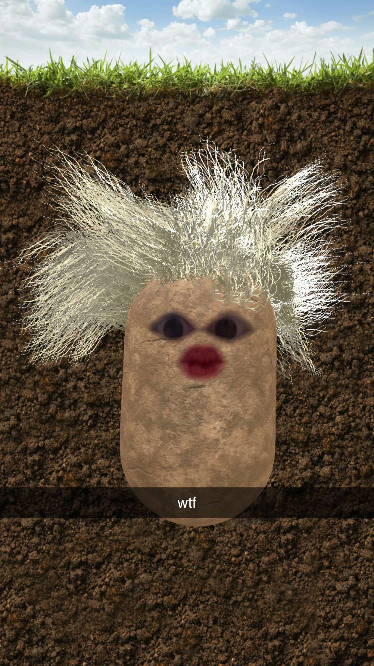 xcatlyn snapchat image archive image