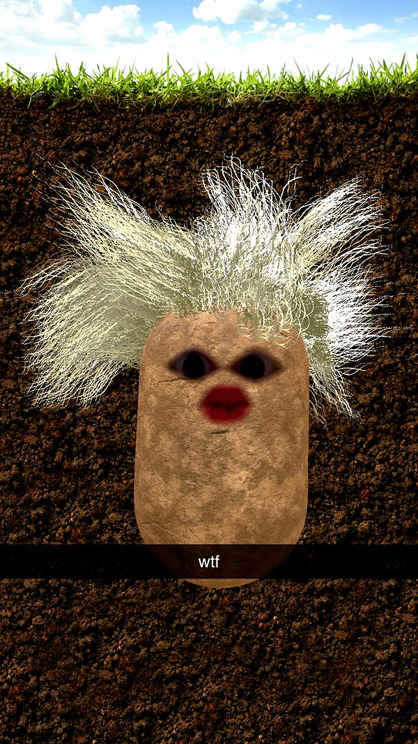 xcatlyn image ~ Altpins