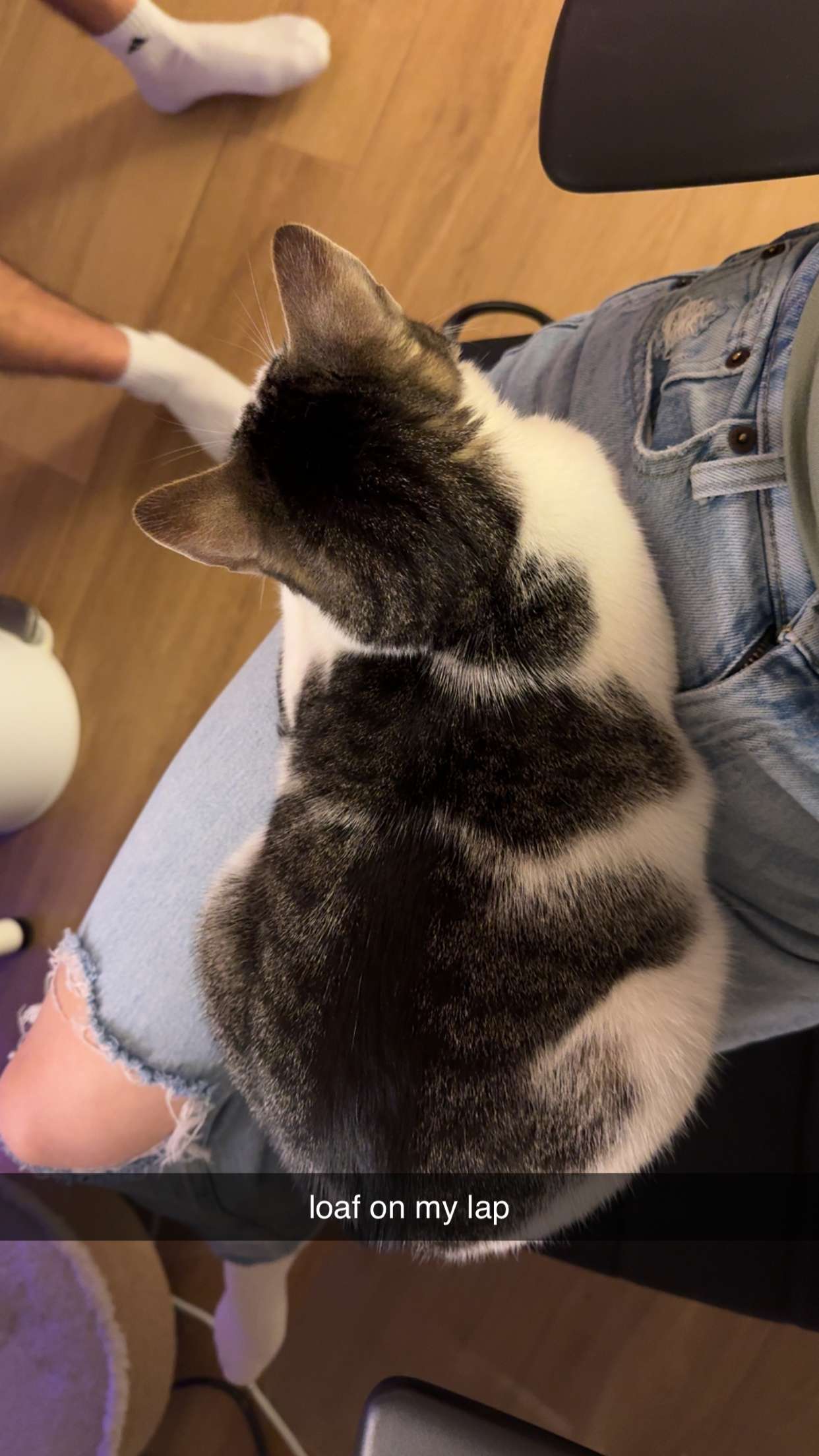 xcatlyn snapchat image archive image