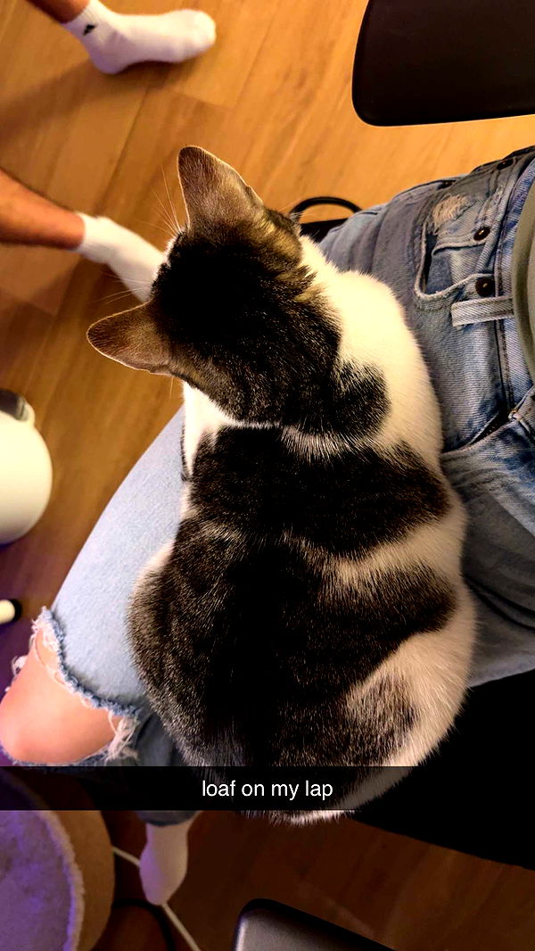 xcatlyn image ~ Altpins