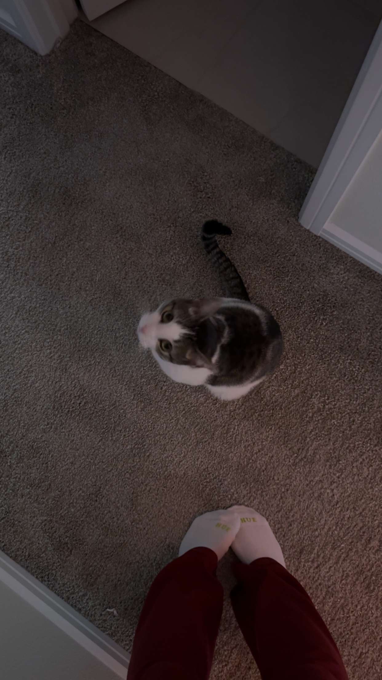 xcatlyn snapchat image archive image