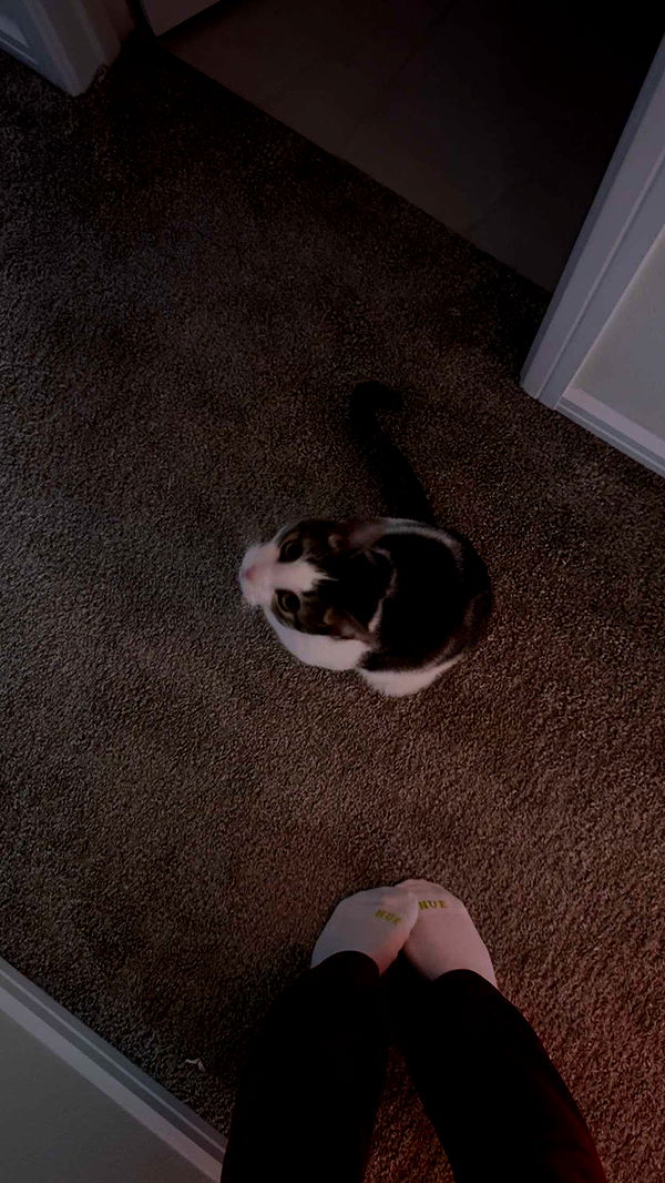 xcatlyn image ~ Altpins