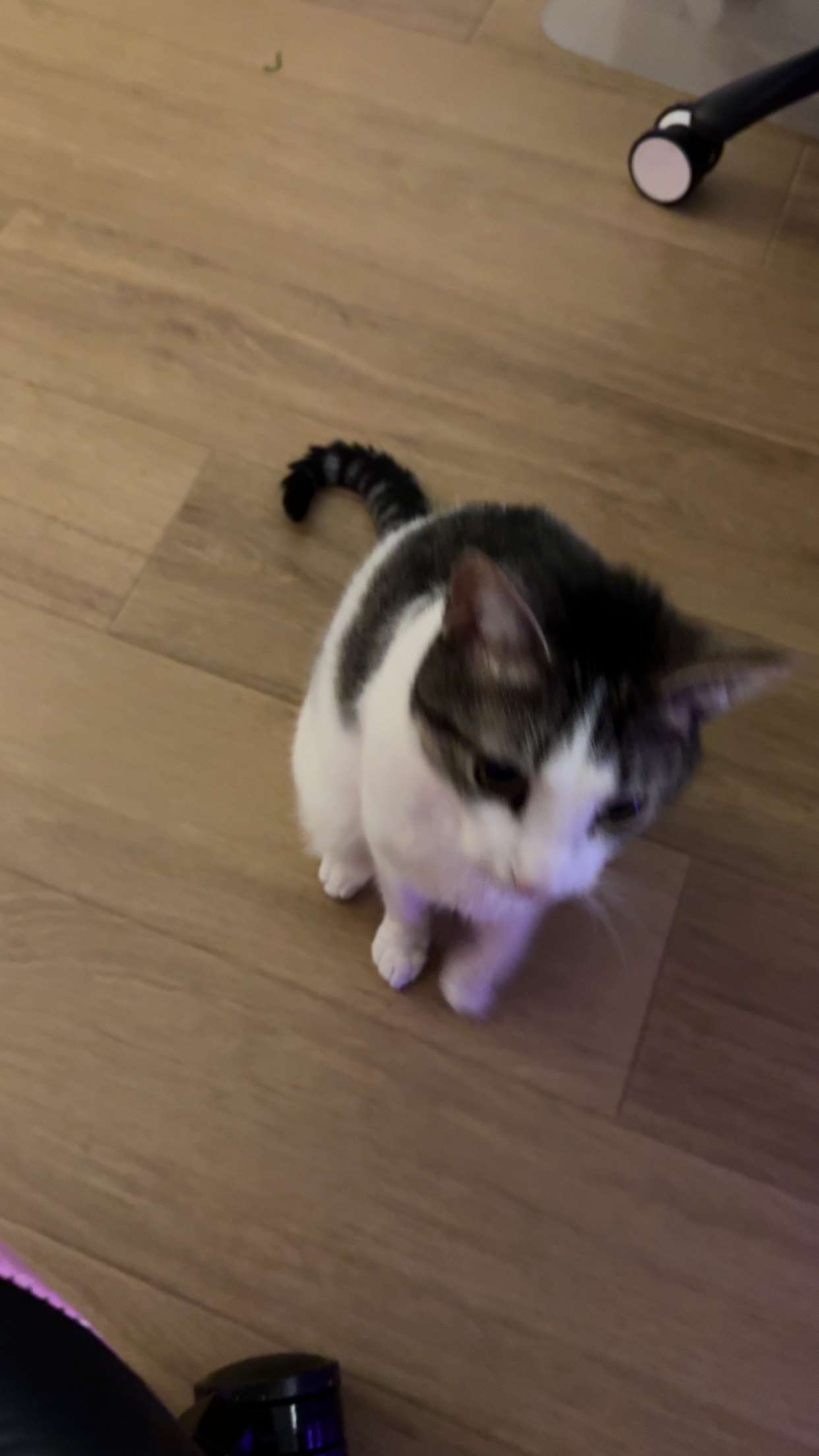 xcatlyn snapchat image archive image