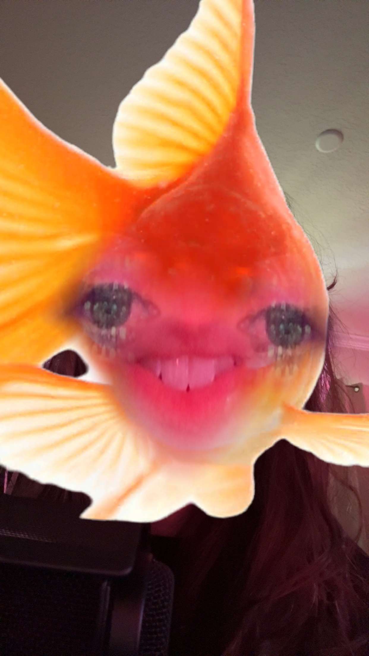 xcatlyn snapchat image archive image