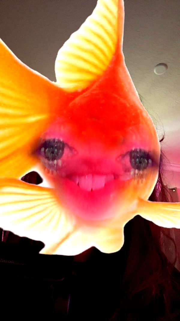 xcatlyn image ~ Altpins