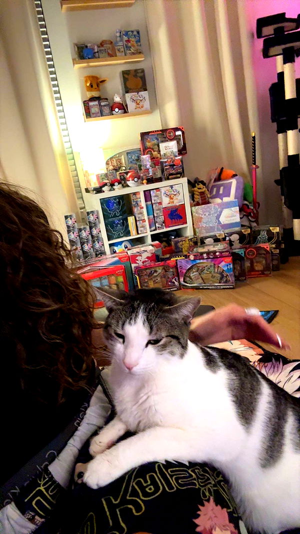 xcatlyn image ~ Altpins