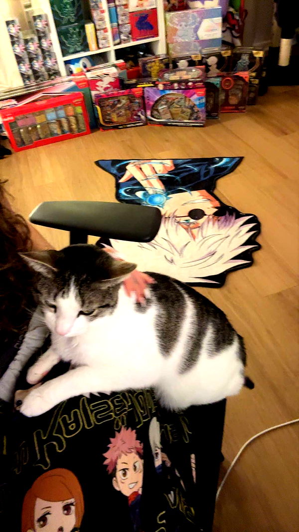 xcatlyn image ~ Altpins