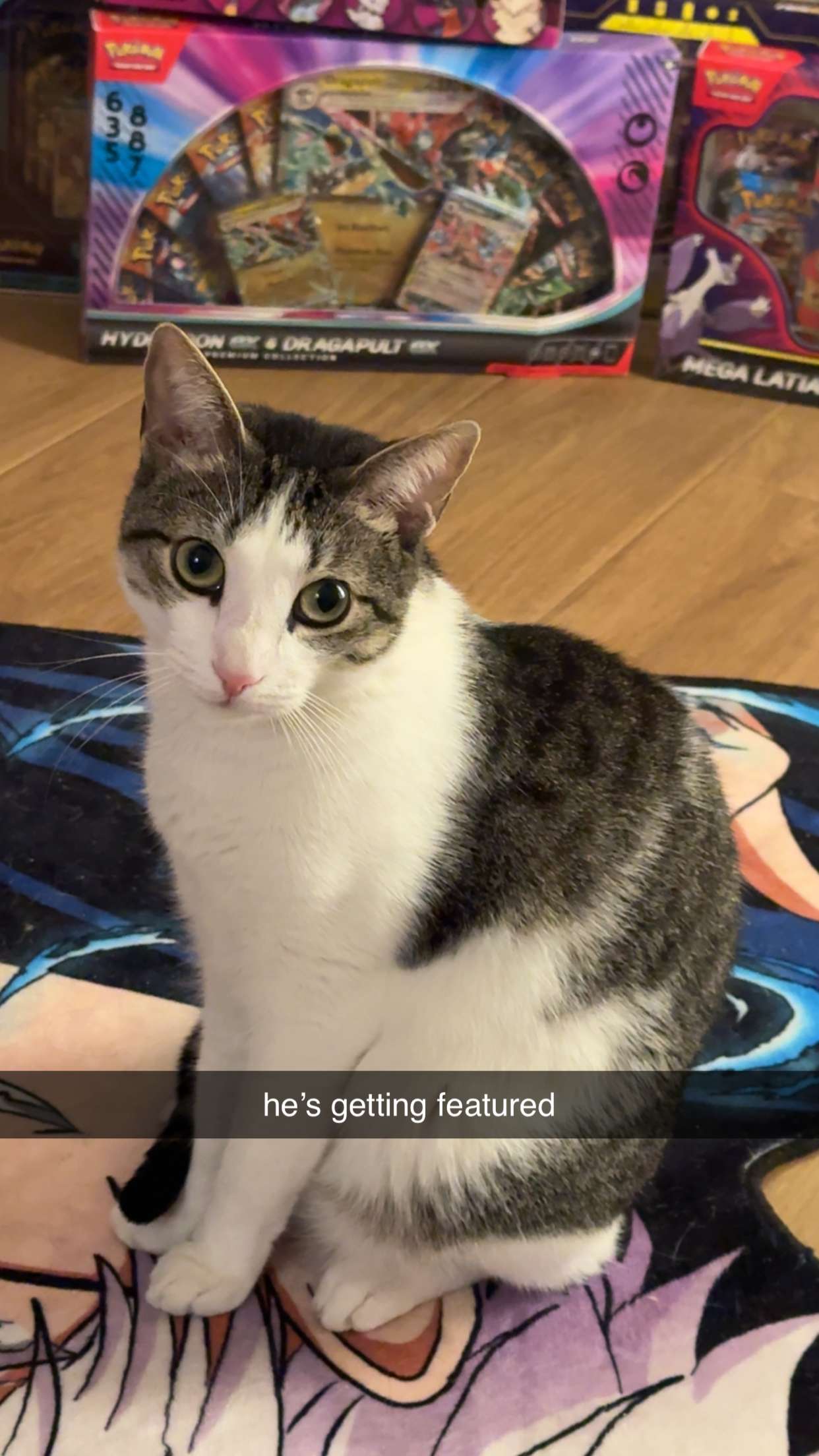 xcatlyn snapchat image archive image