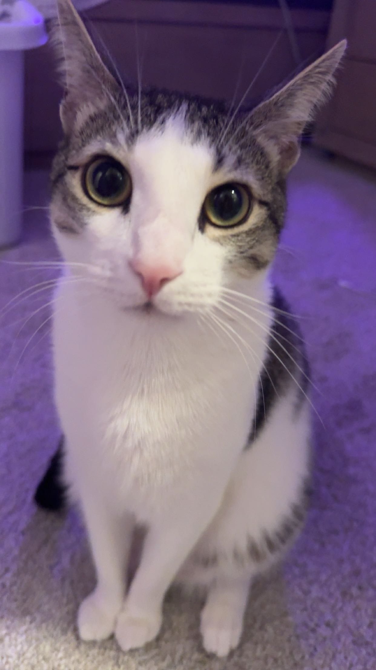 xcatlyn snapchat image archive image