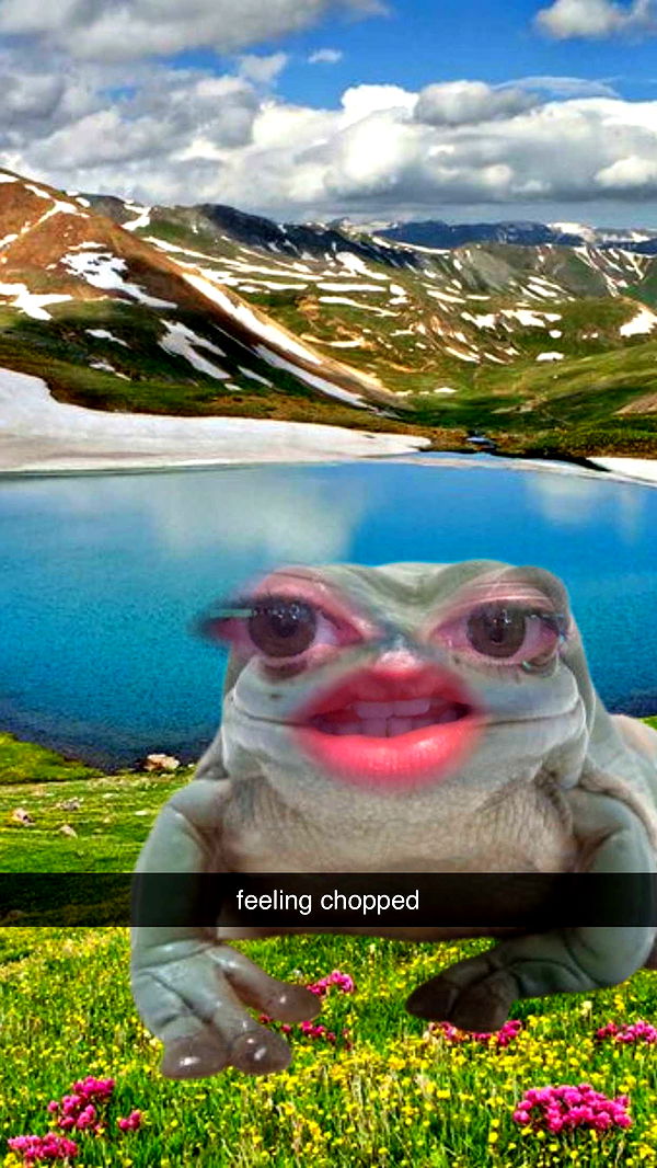 xcatlyn image ~ Altpins