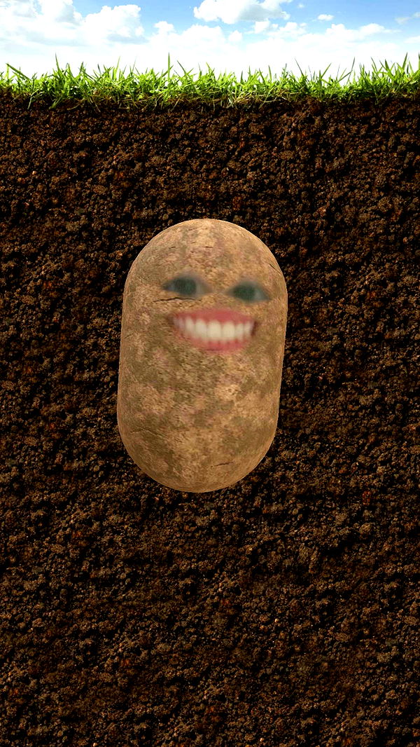 xcatlyn image ~ Altpins