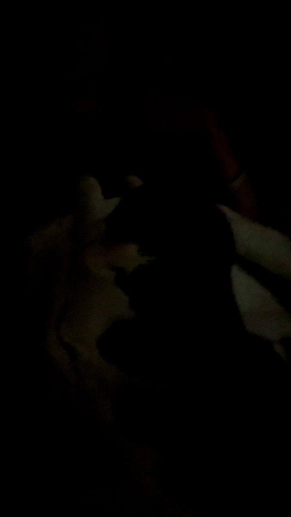 xcatlyn image ~ Altpins