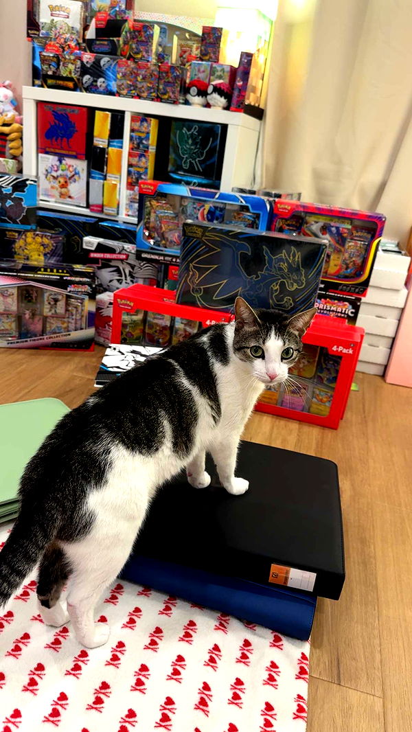 xcatlyn image ~ Altpins