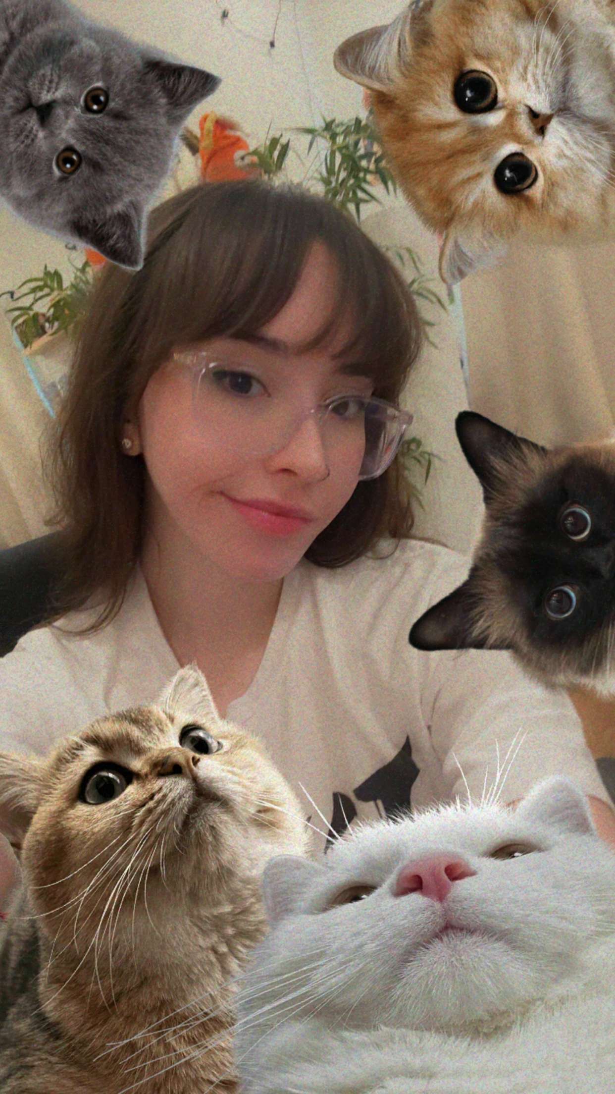 xcatlyn snapchat image archive image