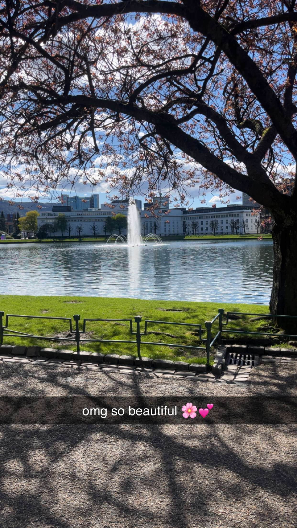 xeliabunny snapchat image archive image