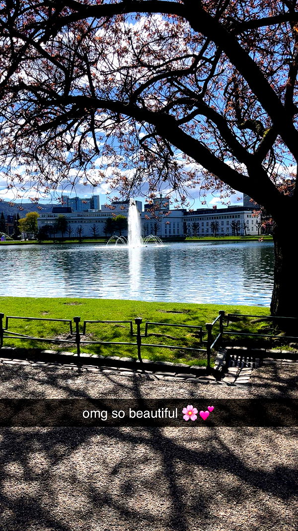 xeliabunny image ~ Altpins