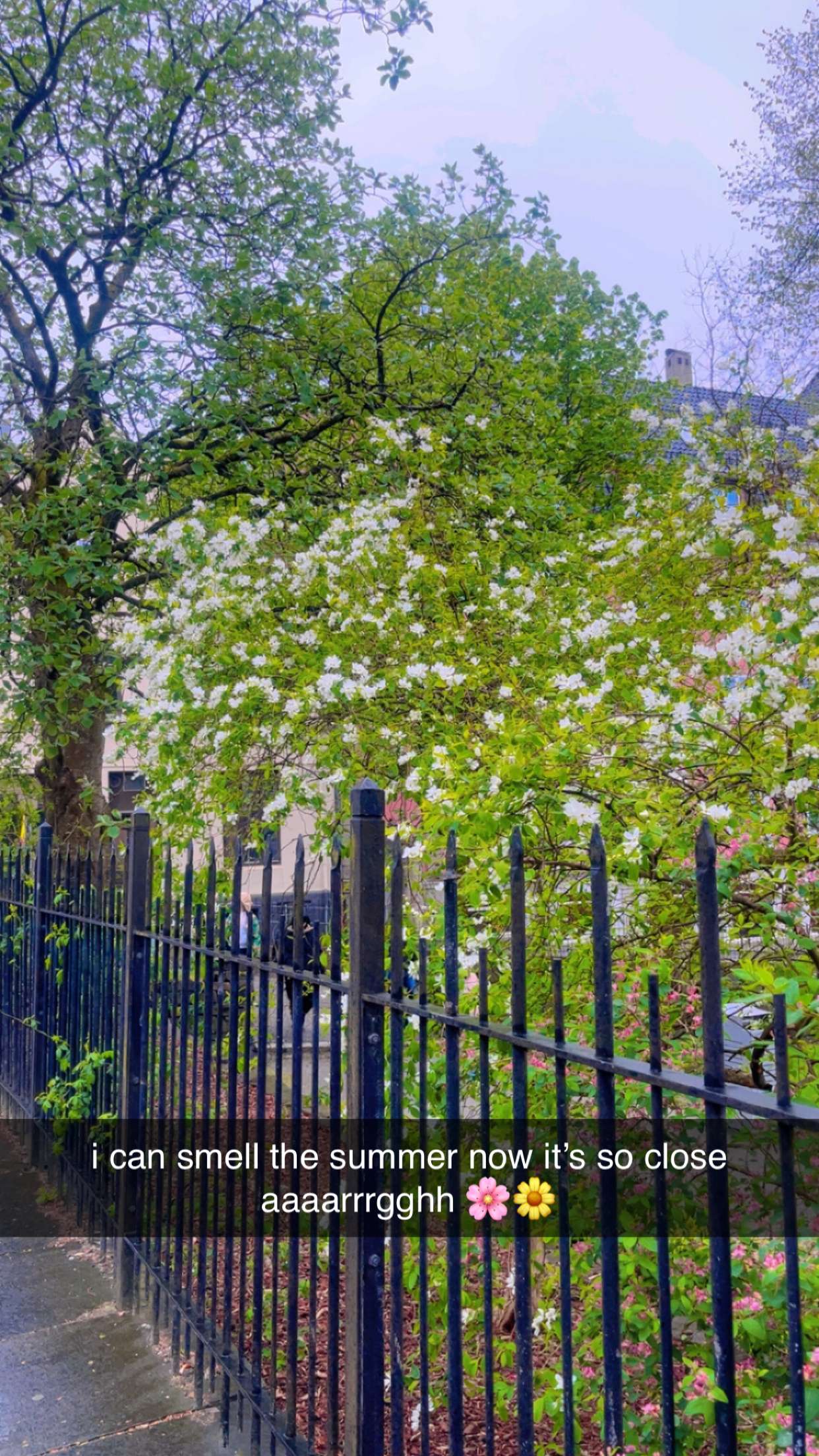 xeliabunny snapchat image archive image