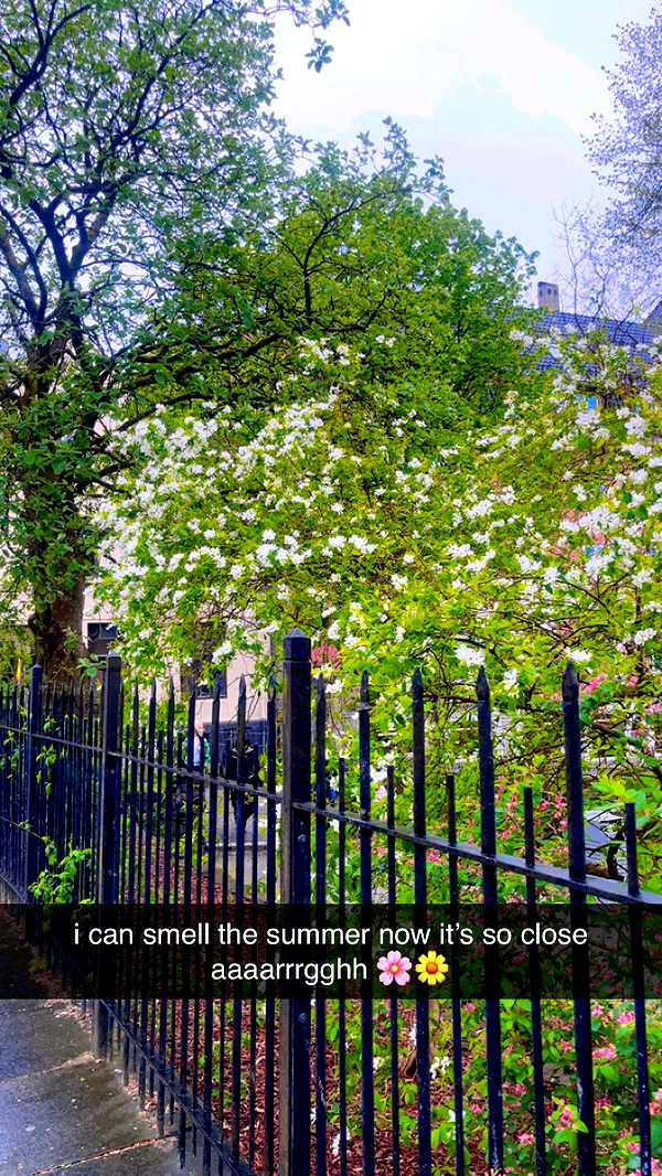 xeliabunny image ~ Altpins