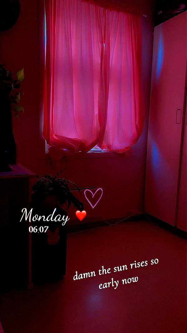 xeliabunny image ~ Altpins