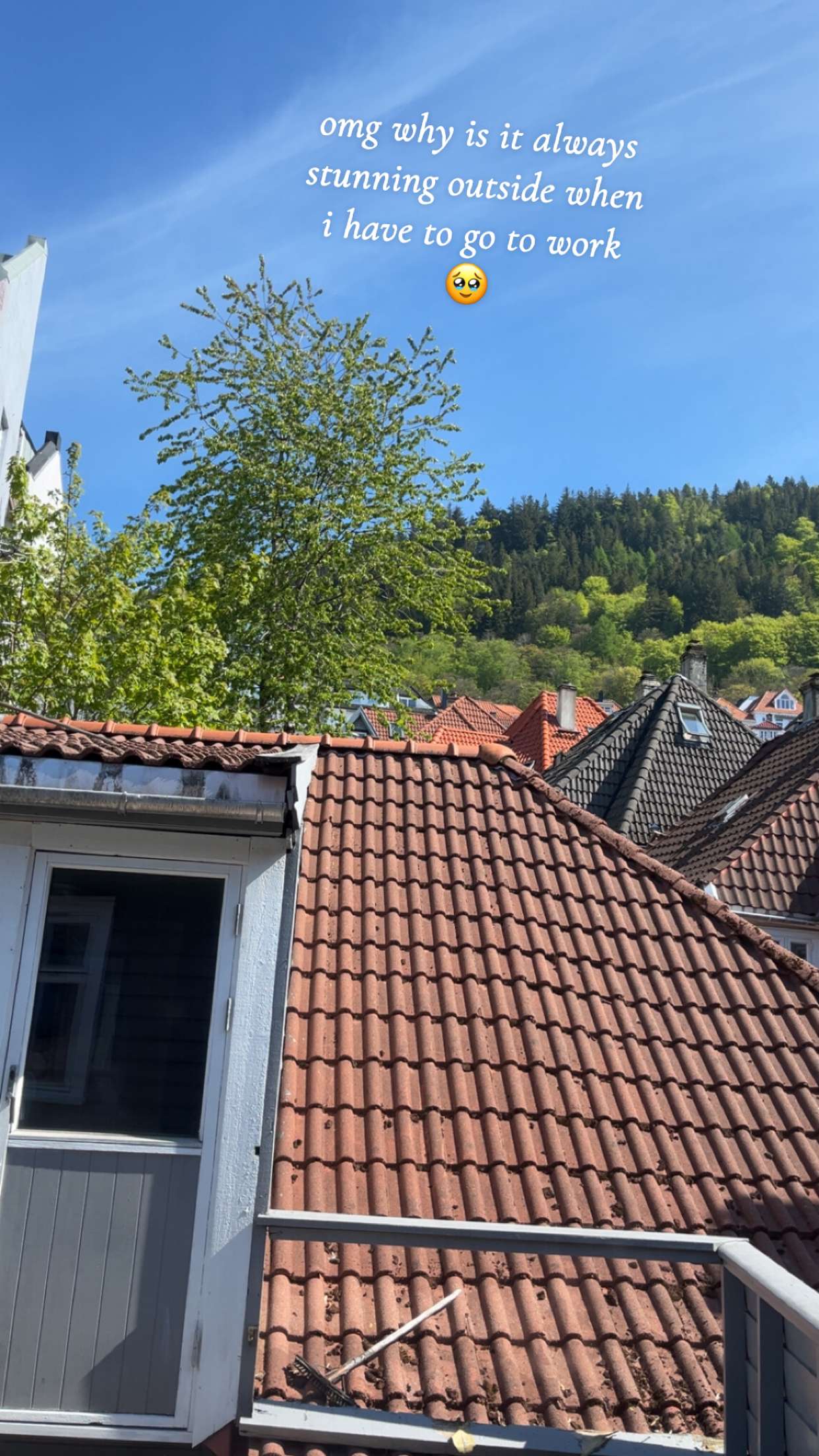 xeliabunny snapchat image archive image