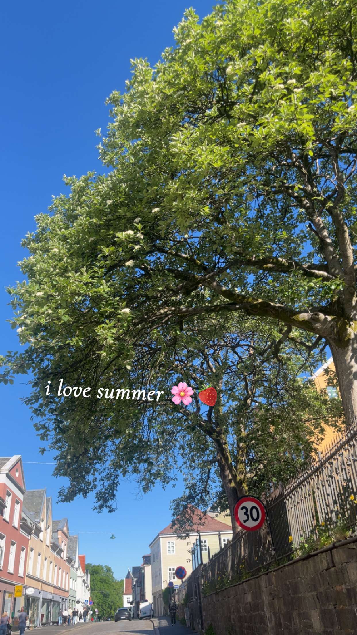 xeliabunny snapchat image archive image