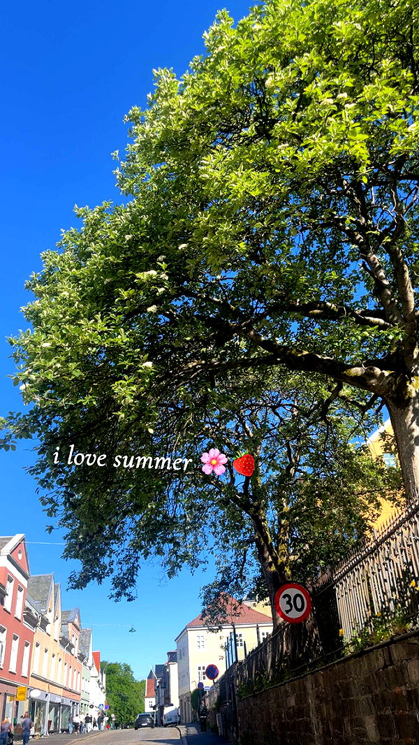 xeliabunny image ~ Altpins