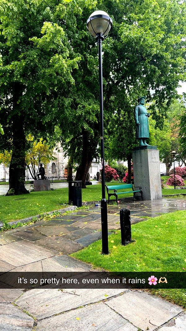 xeliabunny image ~ Altpins