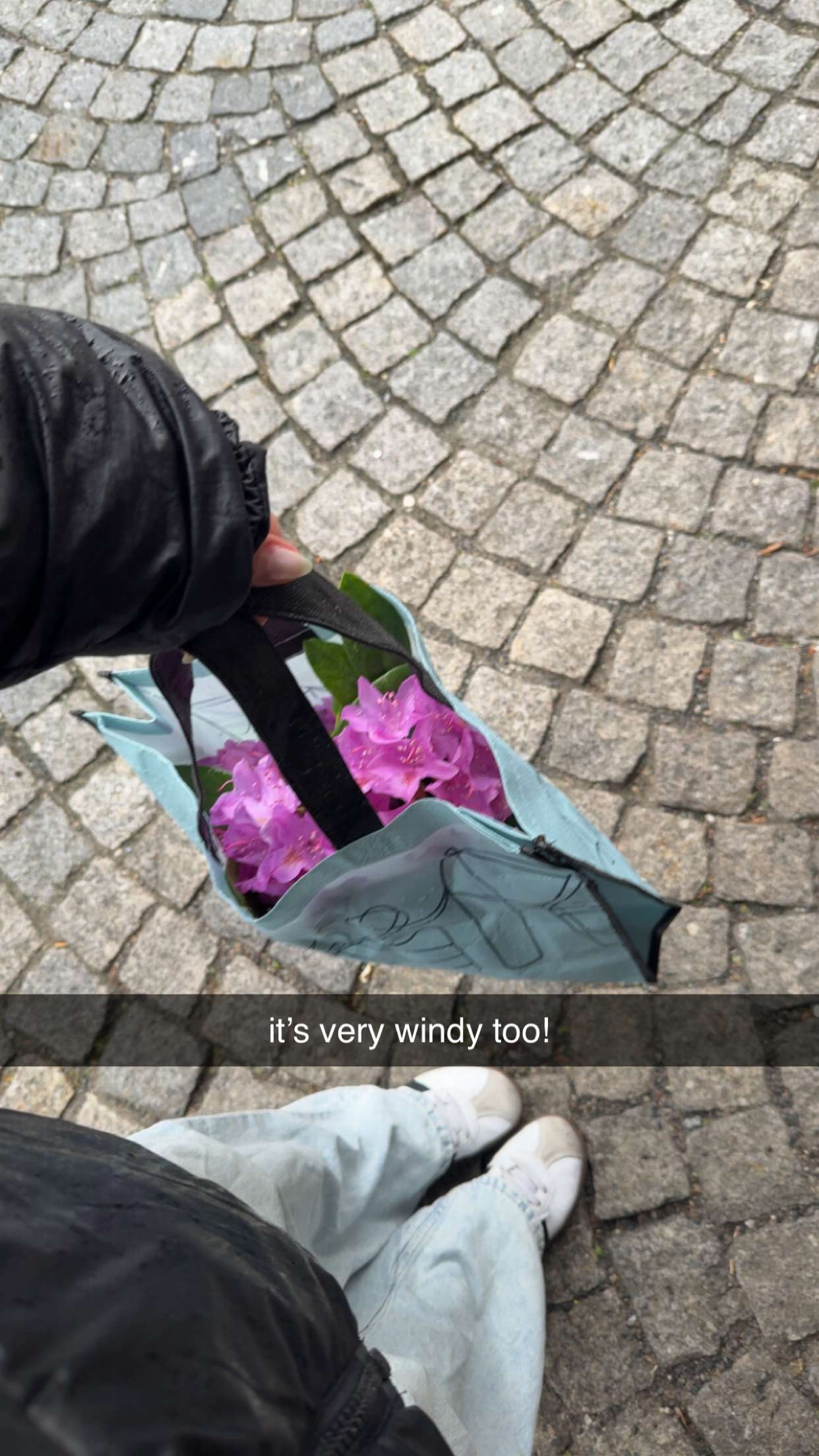 xeliabunny snapchat image archive image