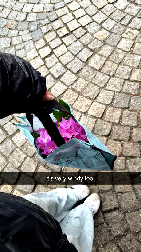 xeliabunny image ~ Altpins