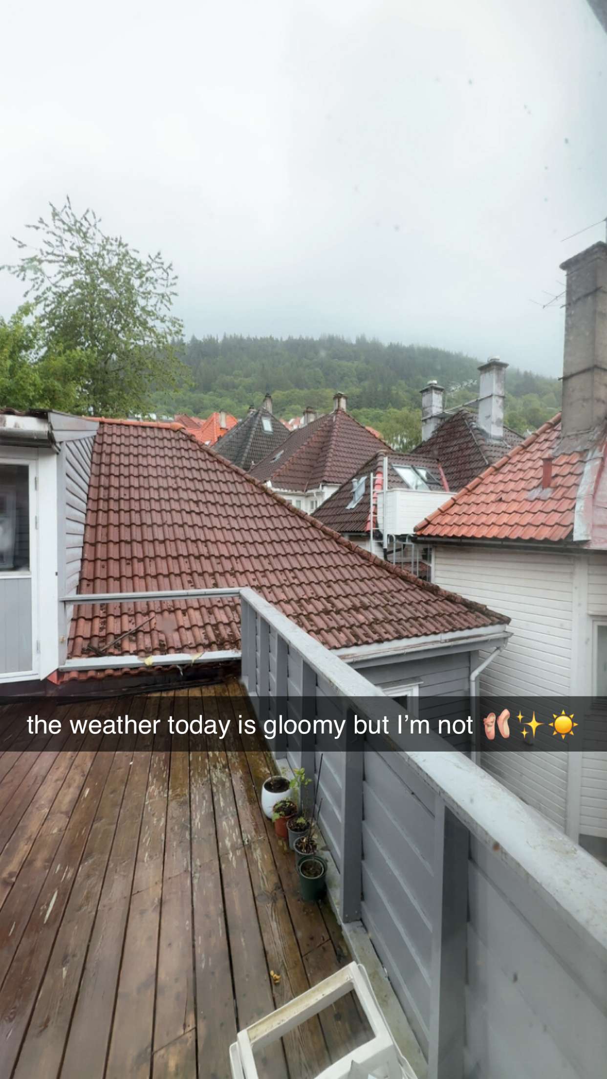 xeliabunny snapchat image archive image