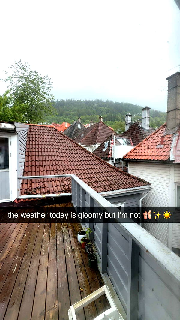 xeliabunny image ~ Altpins