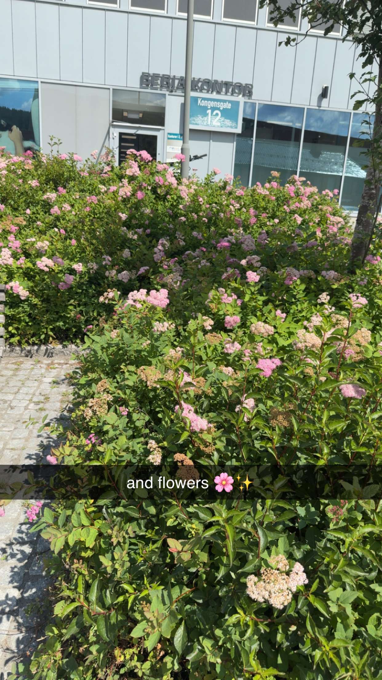 xeliabunny snapchat image archive image