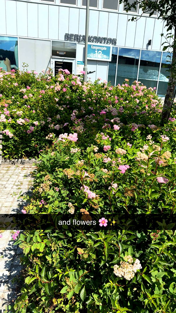 xeliabunny image ~ Altpins